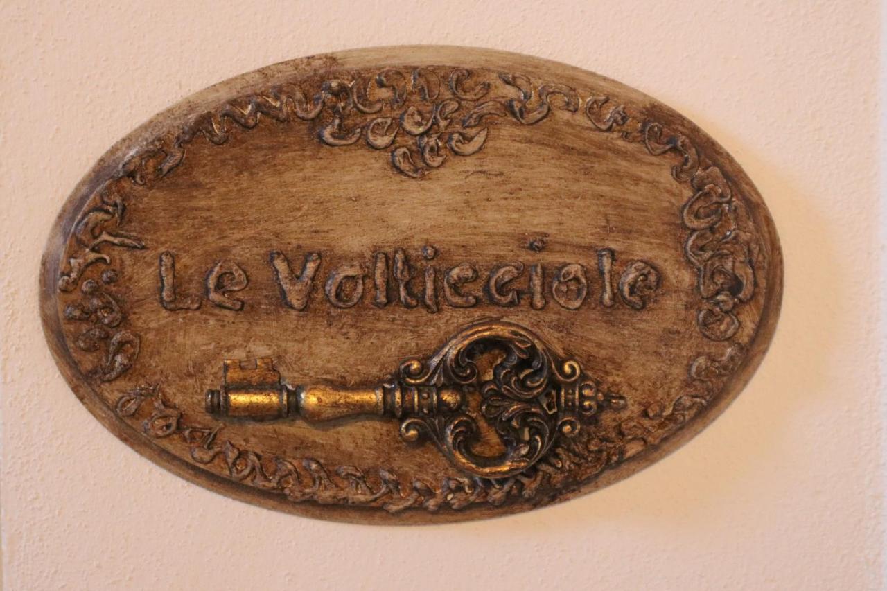 B&B La Taccola Castelnuovo di Val di Cecina Eksteriør billede