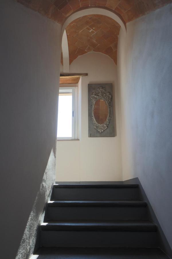 B&B La Taccola Castelnuovo di Val di Cecina Eksteriør billede